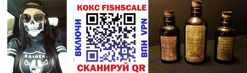 блэк спрут ссылка  Котлас  Cocaine Fish Scale 