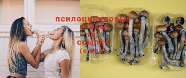 марихуана Абаза
