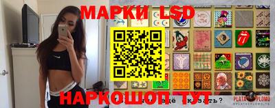 гидропоника Кимры