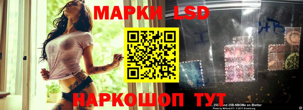 LSD-25 экстази кислота  Лсд 25 экстази кислота  Котлас  Вход с VPN 